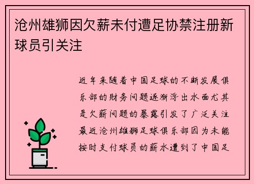 沧州雄狮因欠薪未付遭足协禁注册新球员引关注 沧州雄狮因欠薪未付遭足协禁注册新球员引关注